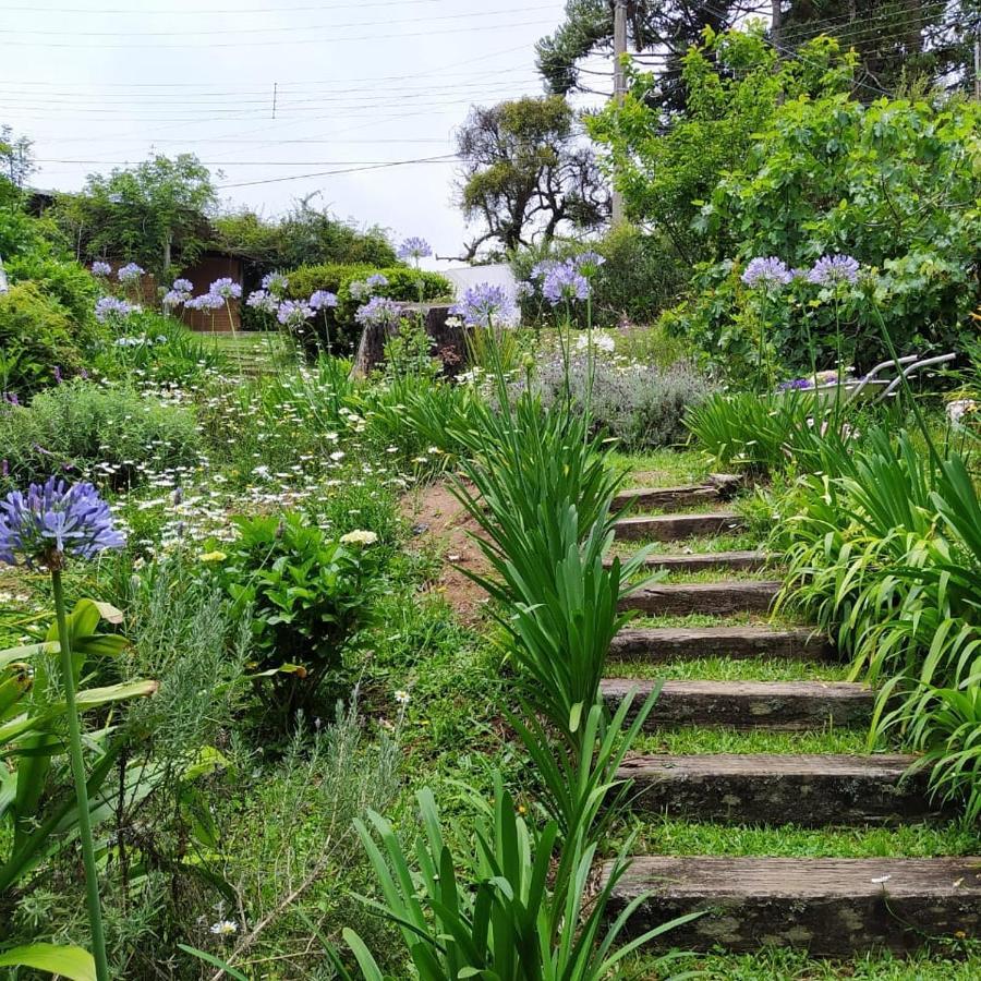 Campos do Jordão Chales Alto Do Capivari מראה חיצוני תמונה